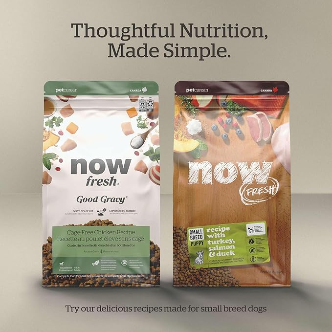 Now Fresh Grain-Free Small Breed Senior Dry Dog Food with Turkey, Salmon & Duck, Premium Kibble Made with Real Meat & Fish, Chicken-Free, Added Glucosamine & Chondroitin for Healthy Joints, 3.5 lb Bag