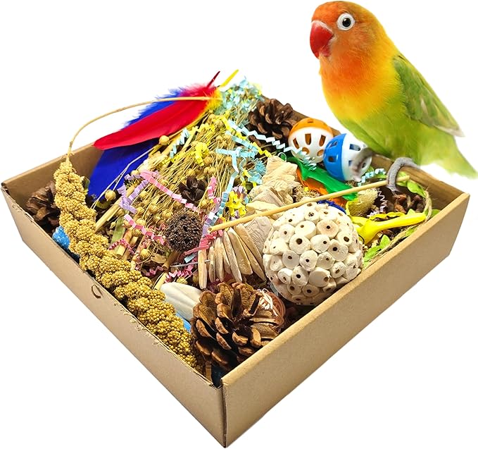 Natural Bird Foraging Toys, Interactive Chew Toys, Perfect for Parakeets, Cockatiels, Conures, Sun Conures and Other Small to Medium Bird Shred Toys