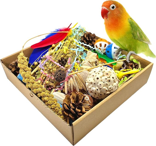 Natural Bird Foraging Toys, Interactive Chew Toys, Perfect for Parakeets, Cockatiels, Conures, Sun Conures and Other Small to Medium Bird Shred Toys