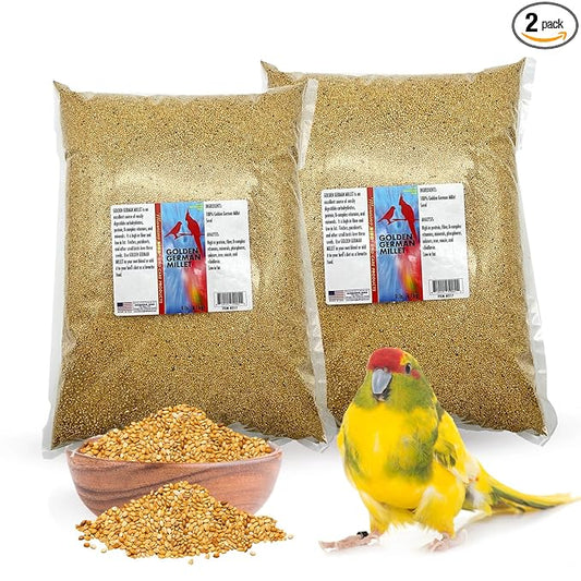 Morning Bird Golden German Millet – Bird Seed & Parakeet Food with Protein & Vitamin B – Easy-to-Digest Millet Seed, Natural Food & Daily Nutrition for All Type of Bird 18 lbs (2-Pack, 9 lbs Each)