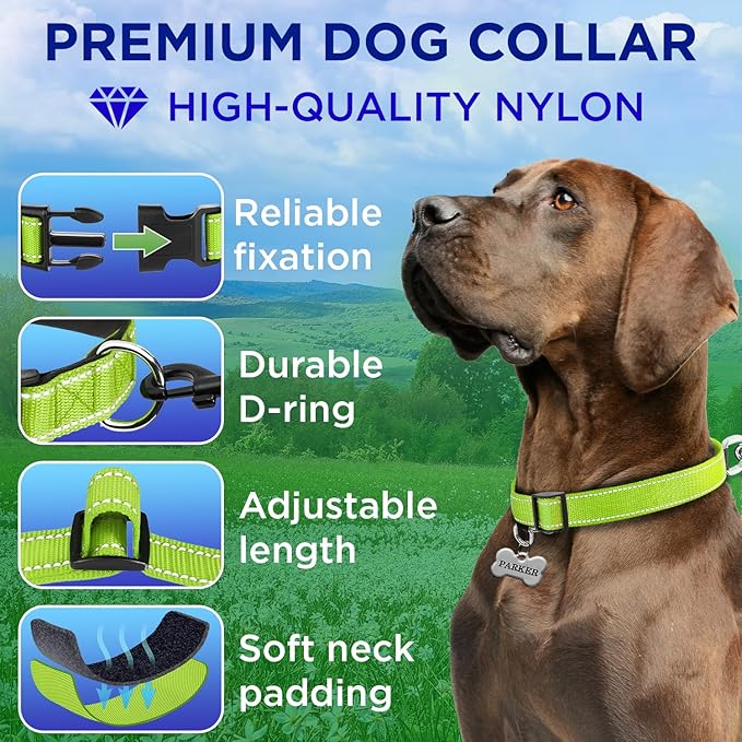 TECEUM Reflective Dog Collar – Acid Green – L – Extra Soft Padding – Basic Nylon Pet Collar – Quick Release Buckle – Fits Small, Medium and Large Dogs, Puppies, Cats – ESA & Service Dog Options