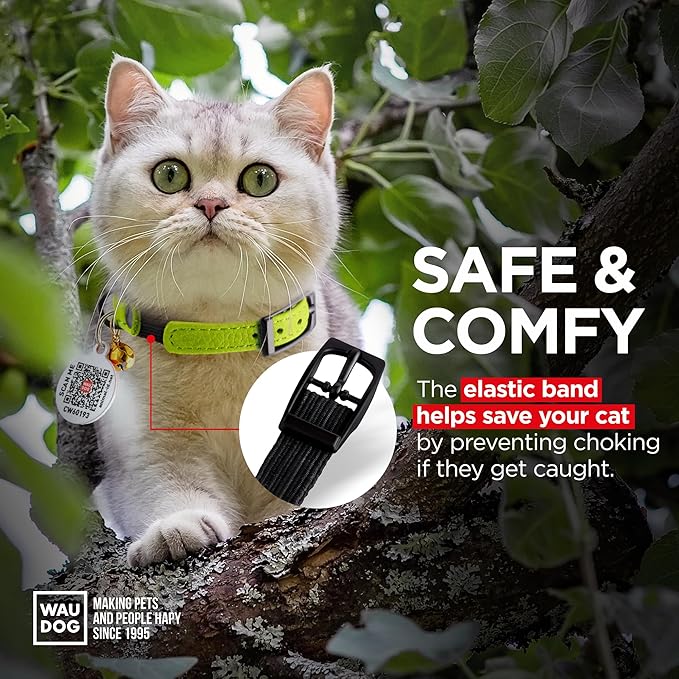 Leather Cat Collar with Bell and Safety Elastic Strap Breakaway Alternative for Small & Large Kittens, Stylish Pet Leather Collar for Boy, Girl Cats with Metal Buckle & QR ID Tag (Green)