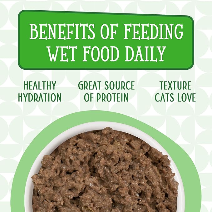 Weruva Cats in The Kitchen, Lamb Burger-ini with Lamb Au Jus Cat Food, 6oz Can (Pack of 24)
