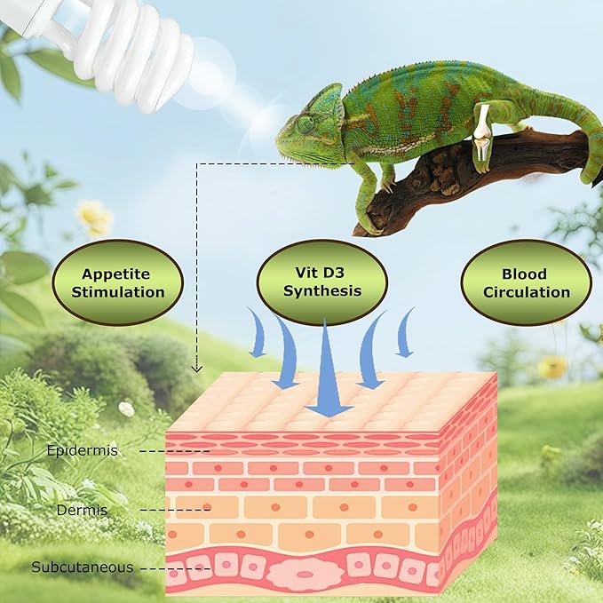 UVB 5.0 Reptile Light 26W, Compact Fluorescent Tropical Terrarium Lamp, Coil UVB Bulbs for Chameleons, Iguanas, Turtles, Rainforest Reptile Tanks, Pet Terrariums, Reptile Habitat Tank