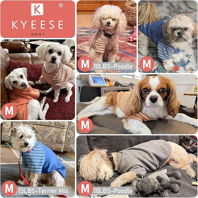 KYEESE 2Pack Dog Sweater Pullover Pet Coat Soft Cat Clothes Stretchy Cat Sweaters Pet Fleece Sweater with Sleeves Comfy Dogs Sweatshirt Lightweight Dog Sweaters for Small Dogs Male for Cold Weather