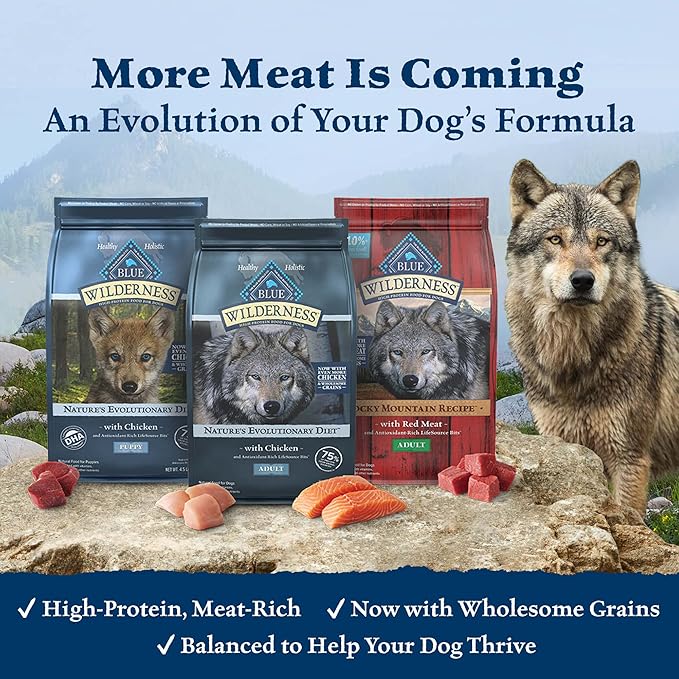 Blue Buffalo Wilderness High Protein Natural Adult Dry Dog Food Plus Wholesome Grains, Salmon 24-lb