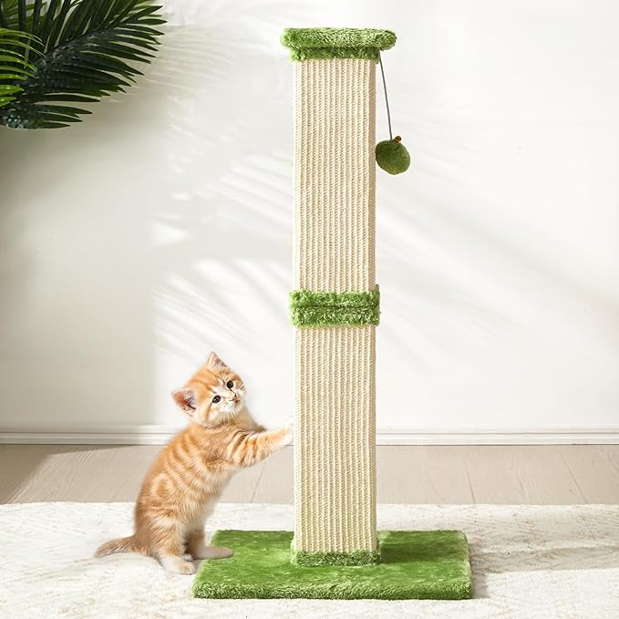Indoor Cat Scratching Post: 32 in Tall Cat Scratcher with Natural Sisal Rope, Kitty Pet Tower with Sturdy Wood Base and Hanging Ball Toy, Great Gift for Small and Large Kittens, Green