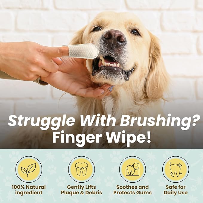 Dog Teeth Cleaning Wipes Ear Nose Paws Fur Cleaner Pure Coconut Oil 1 Pack of 50