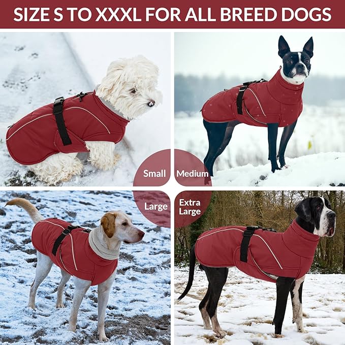 Queenmore XL Dog Coat, Winter Dog Jacket for Large Dogs, Waterproof Puffy Dog Snowsuit, Adjustable Reflective Fleece Lining Warm Padding Parka for Cold Weather, Red XL