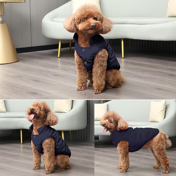 2 Layers Fleece Lined Warm Dog Jacket for Puppy Winter Cold Weather,Soft Windproof Small Dog Coat,Blue M
