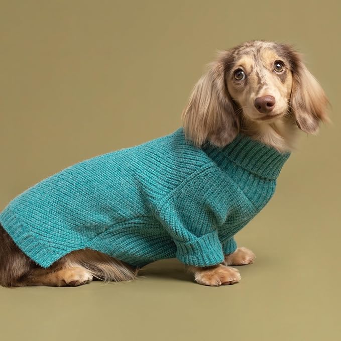 Fitwarm Turtleneck Dog Sweater, Thermal Winter Clothes for Small Dogs, Boy Girl, Sweater, Jumper, Teal Blue, XL