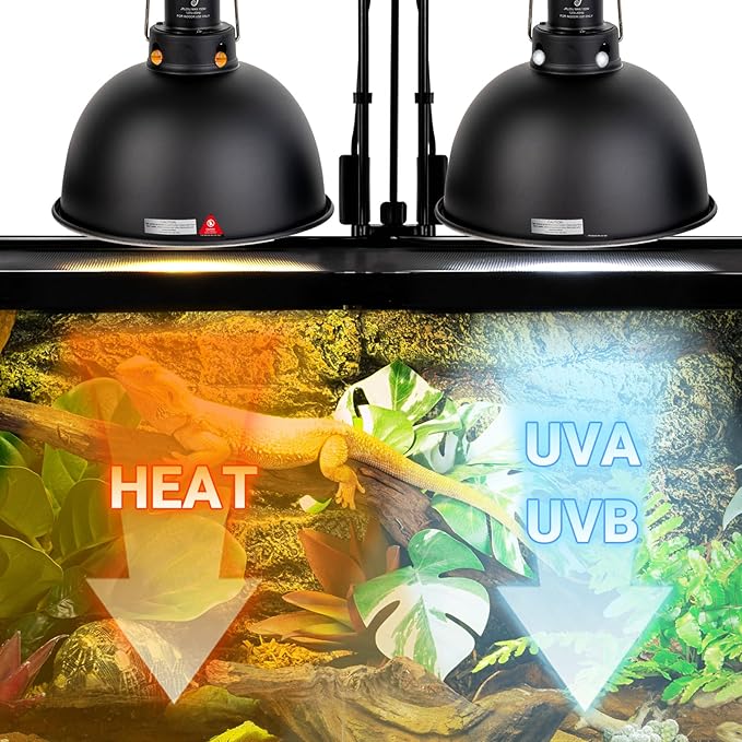 Reptile Light Fixture 2 Pack, 8.5 in Deep Dome Reptile Heat Lamp Fixture, Optical Reflection Terrarium Light Fixture for Reptile UVB UVA Heat Basking Bulbs, Separate Switch & Hook