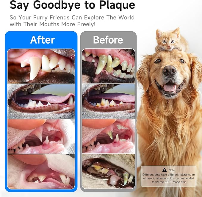 Electric Dog Plaque & Tartar Remover - Pet Teeth Cleaning Kit with 5 Adjustable Modes, LED Light, Safe and Low Noise – Easy at Home Dental Care for Dogs and Cats