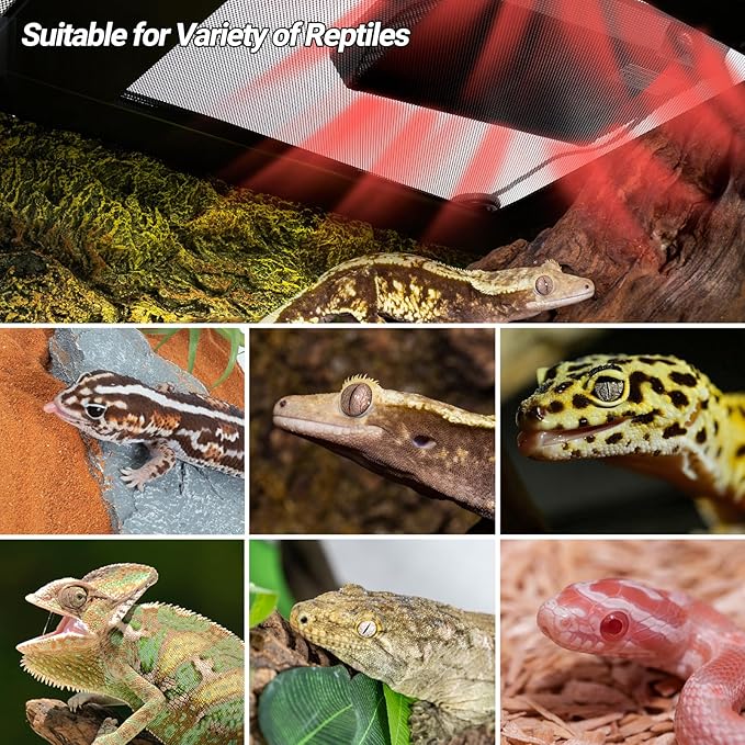 REPTI ZOO Reptile Heat Panel Adjustable Temperature Reptile Heating Plate, Non-Light Heating Solution with Expanded Heating Range for Hermit Crabs/Leopard Geckos/Turtles/Snakes/Lizards