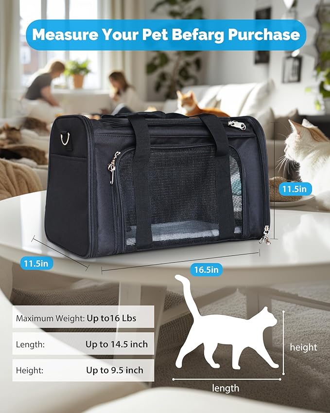 L&W BROS. Airline Approved Cat Carrier - Soft Sided Pet Travel Bag for Cats and Small Dogs Under 16 lbs TSA Approved Pet Carrier in Cabin (Black)