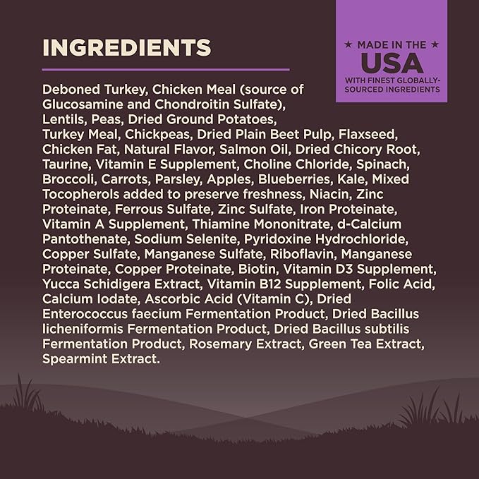 Wellness CORE Grain-Free Senior Dry Dog Food, Made in USA with Real Turkey and Natural Ingredients, With Nutrients for Immune, Joint, Skin & Coat Support, 24-Pound Bag