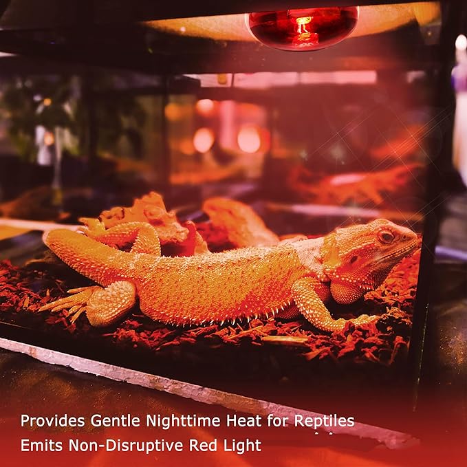 75W Infrared Basking Spot Light Bulbs for Reptiles&Amphibians,Suitable for Bearded Dragons, Snakes, Turtles&Lizards, Red Heat Lamp Bulbs Ideal for Pet Brooders,Reptile Terrarium&Turtle Tank