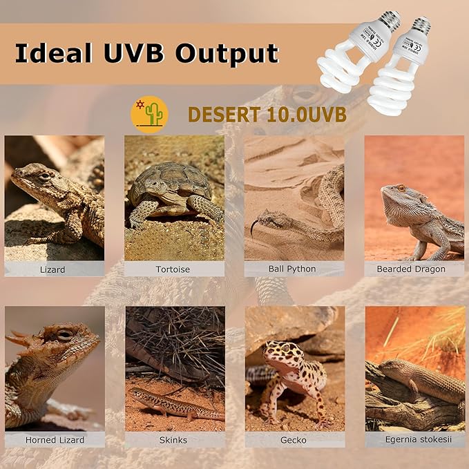 UVB 105.0 Reptile Light 13W, Compact Fluorescent Lamp，Coil UVB Desert Bulb–Lighting for Bearded Dragons, Lizards, Tortoises, Snakes, Geckos, Amphibians & Small Reptile Tanks