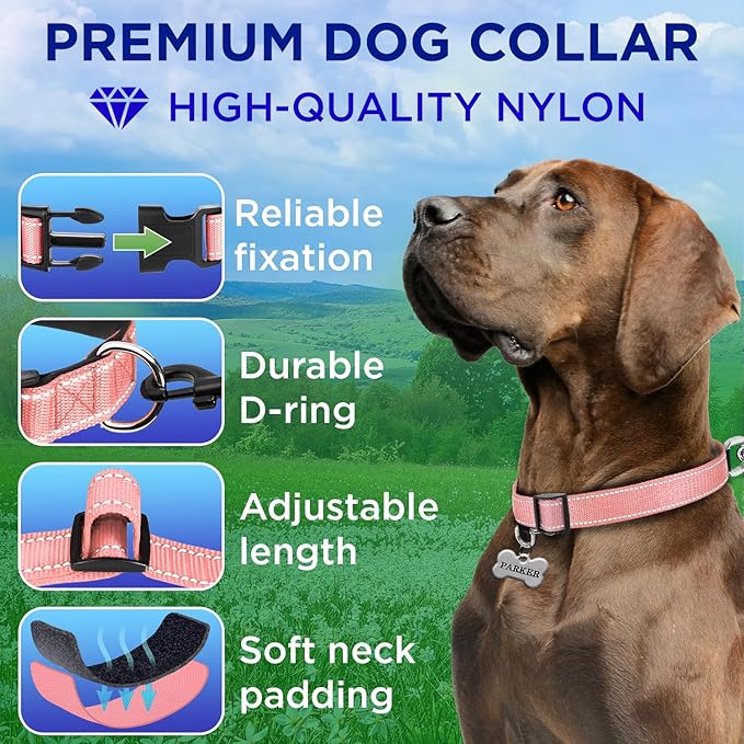TECEUM Reflective Dog Collar – Pink – M – Extra Soft Padding – Basic Nylon Pet Collar – Quick Release Buckle – Fits Small, Medium and Large Dogs, Puppies, Cats – ESA & Service Dog Options
