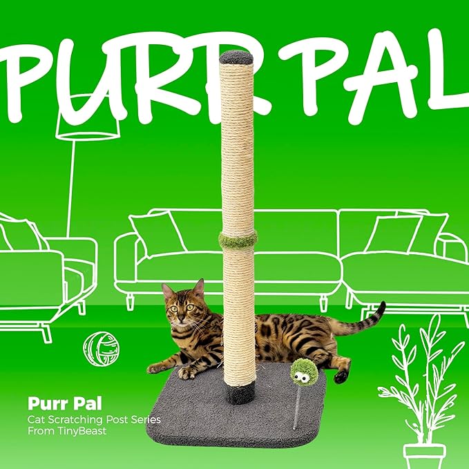 TINYBEAST 34" Tall Cat Scratching Post for Indoor Cats, Premium Natural Sisal Scratcher with Interactive Plush Toy Ball, Reinforced Stable Base for Large Adult Cats & Kittens(Grey)