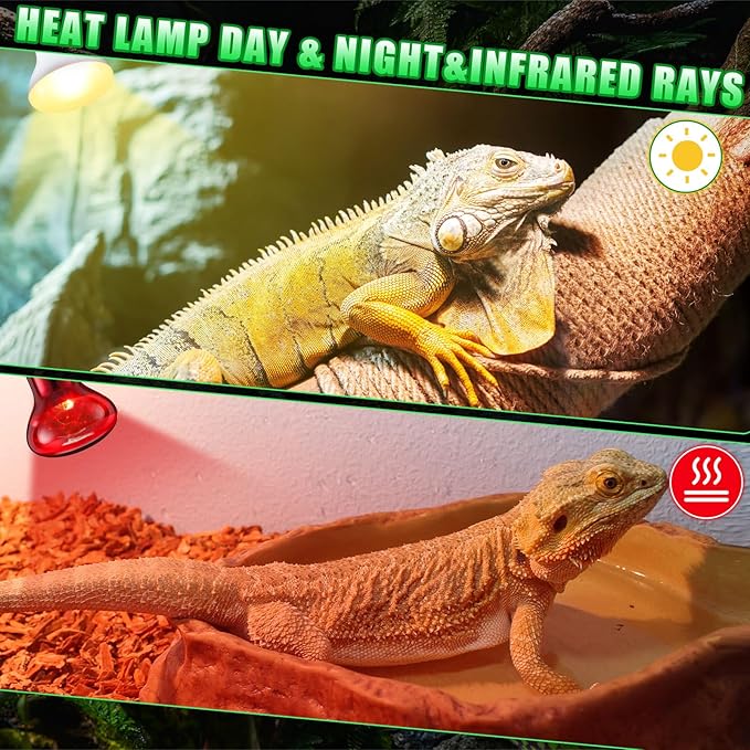 10 Pcs 75w Reptile Heat Lamp Bulb Day and Night Basking Spot Bulb Set UVA Daylight Bulb Amphibian Night Red Infrared Heating Lamp for Turtle Bearded Dragon Lizard Leopard Gecko