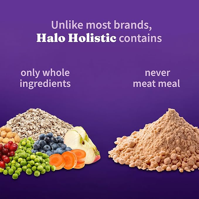 Halo Holistic Vegan Dog Food, Plant-Based Recipe with Kelp, Dry Dog Food, Complete Digestive Health, Kibble for Adult Dogs, 3.5 lb Bag