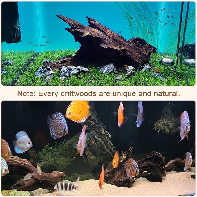 Natural Driftwood for Aquarium, 9-14" Large Assorted Branch Pieces Decorations for Reptile Hide, Fish Tank