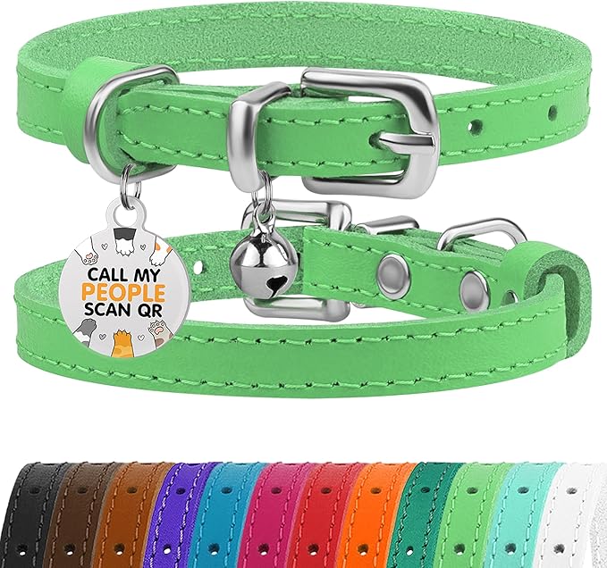 BRONZEDOG Leather Cat Collar with Removable Bells Non Breakaway Kitten QR Tag for Girl Boy (9" - 12" Cats/Mini Dogs, Green & Silver)