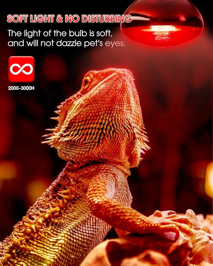 Flaspar 100W Reptile RED Heat Lamp Bulbs, Reptile & Amphibian Basking Spot Light Bulbs for Chickens Coop Pets Brooder Bearded Dragon Lizard Tortoise Use, Pack of 2