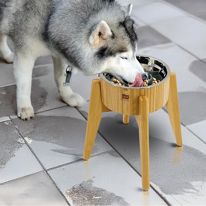 Slow Feeder Dog Bowls for Large Breed - 12-inch High Elevated, Raised Single Food Station - Detachable Parts, Suitable for Treats, Wet/Dry Pet Foods
