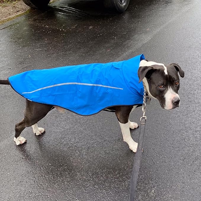 Mile High Life Dog Raincoat, Adjustable Waterproof Reflective Rain Jacket for Small Medium Large Dogs, Lightweight Breathable Pet Rain Coat with Leash Hole(Blue,M Chest 26-32")