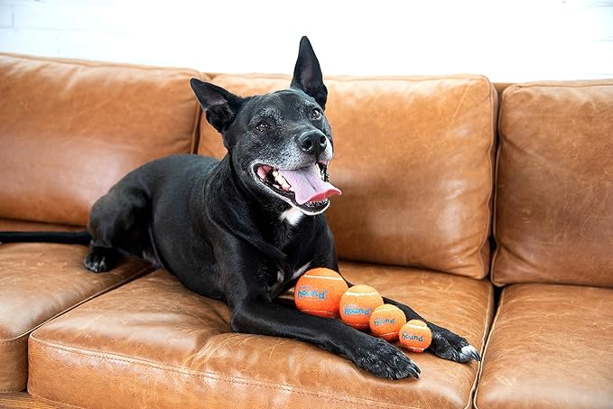 Outward Hound Squeaker Ballz 4-Pack Tennis Ball Dog Toys with Squeaker, Interactive Fetch Play for Pets Under 50 lbs, Training Balls for Indoor & Outdoor Exercise, Medium, 2.5-inch