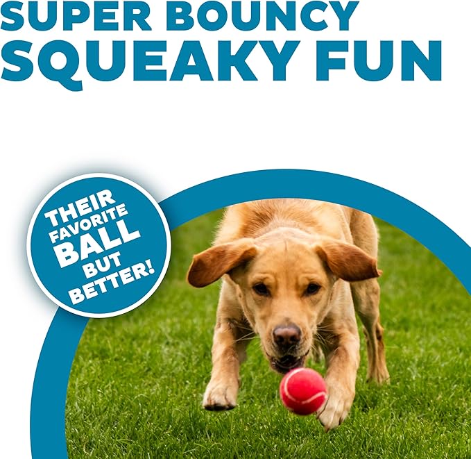 Outward Hound Squeaker Ballz 4-Pack Tennis Ball Dog Toys with Squeaker, Interactive Fetch Play for Pets Under 50 lbs, Training Balls for Indoor & Outdoor Exercise, Medium, 2.5-inch
