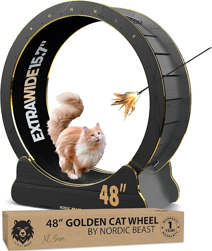 48'' Golden XL Cat Wheel - Cat Wheels for Indoor Cats Which Doesn't Negatively Affect Your Cat's Spine – 15.7'' Extra Wide Cat Treadmill - Fits 2 Cats Side-by-Side, 1-Year Warranty