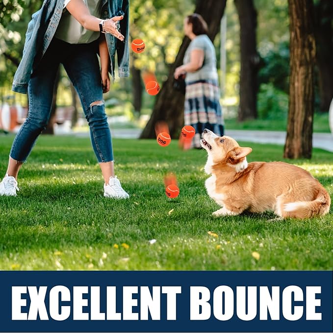 AMA SPORT Tennis Balls for Dogs 12 Pack 2.5" Multi Colors Dog Tennis Balls for Puppy Small Medium Dog Toys, Designed for Dogs Floating Water-Hunting Fetch Fun Playing Daily Exercise Mid-air Catching