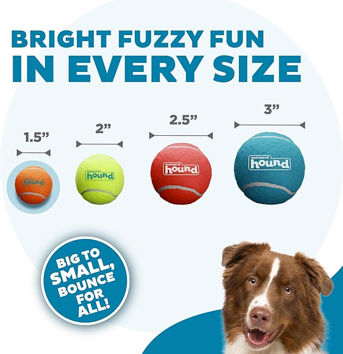 Outward Hound Squeaker Ballz 8-Pack Tennis Ball Dog Toys with Squeaker, Interactive Fetch Play for Pets Under 15 lbs, Training Balls for Indoor & Outdoor Exercise, X-Small, 1.5-inch