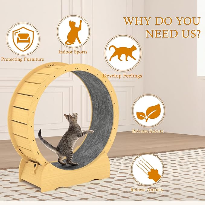 41" Cat Wheel,cat Wheels for Indoor Cats,Noise-Free Pet Fitness Toy，Safety Treadmill with Lock Minimized Gap Design，to Reduce Boredom & Anxiety - Easy Assembly