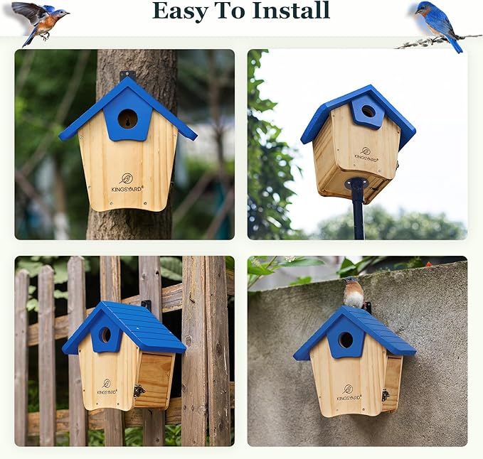 Kingsyard Blue Bird House for Outside - Cedar Wood Nesting Box with Clear View Panel & Predator Guard for Bluebird Wren Cardinal Swallow Finch, Royal Blue