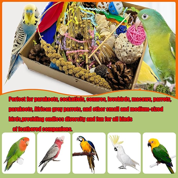 Natural Bird Foraging Toys, Interactive Chew Toys, Perfect for Parakeets, Cockatiels, Conures, Sun Conures and Other Small to Medium Bird Shred Toys