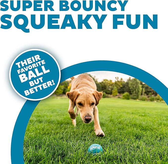 Outward Hound Squeaker Ballz 6-Pack Tennis Ball Dog Toys with Squeaker, Interactive Fetch Play for Pets Under 50 lbs, Training Balls for Indoor & Outdoor Exercise, Medium, 2.5-inch