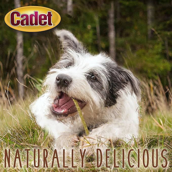 Cadet Premium Grade Rawhide for Dogs, Long-Lasting Munchy Sticks, Single-Ingredient Dog Chews, Chicken Flavor, 5-Inch, 100 Count