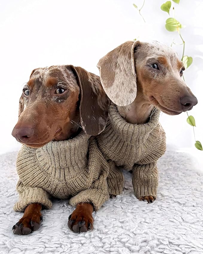 Fitwarm Thermal Knitted Dog Sweater Doggy Winter Coat Pet Clothes Doggie Turtleneck Jacket Puppy Outfits Cat Sweatsuit Sage Green X-Large