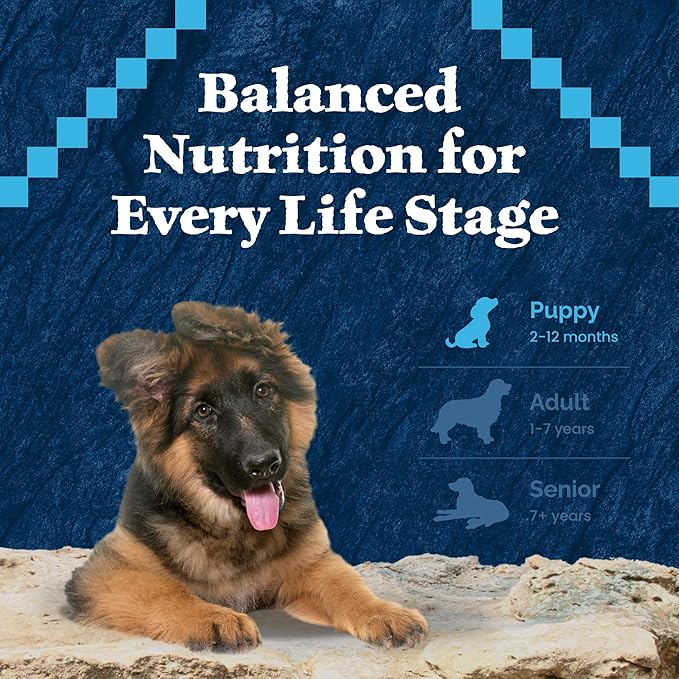 Blue Buffalo Wilderness Puppy High-Protein Dry Dog Food with Real Chicken, Grain-Free, Made in the USA with Natural Ingredients, Chicken, 4.5-lb Bag