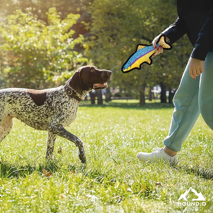 Dog Toys | Plush Toy Duck & Trout Fish Stuffed Animal for Dogs, Value 2-Pack | Outdoor Toy - Easy to Clean and Made from Non Toxic Materials