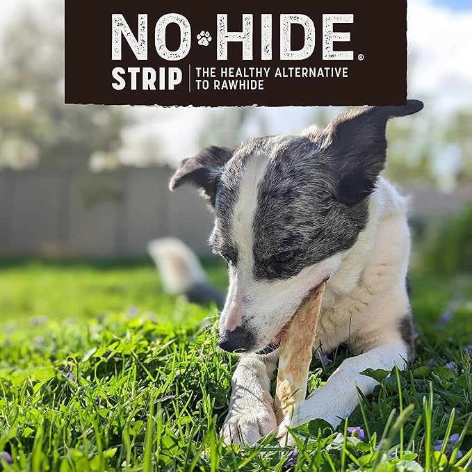 Earth Animal No Hide Strips Barbeque Bacon Cheeseburger Flavored Natural Treats | No Rawhide | Quick & Thin Dog Chews - 16 Count