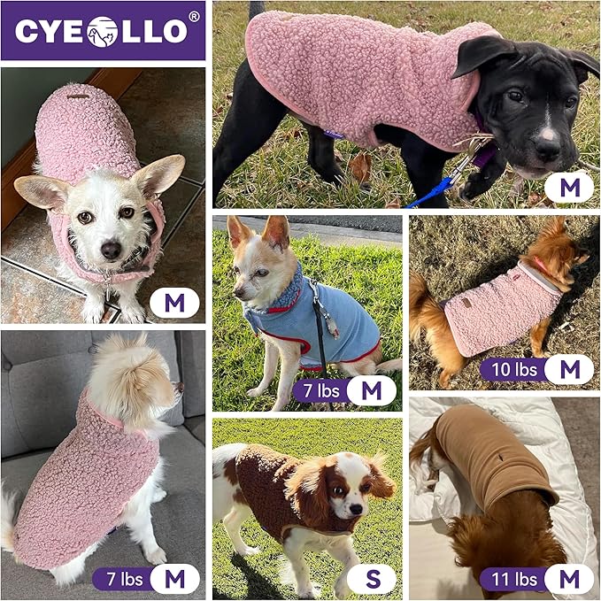 cyeollo Warm Dog Coat Fleece Sherpa Reversible Winter Sweater Coats, Turtleneck Cold Weather Dog Jacket Vest for Small Dogs with Leash Hole, Burgundy, S