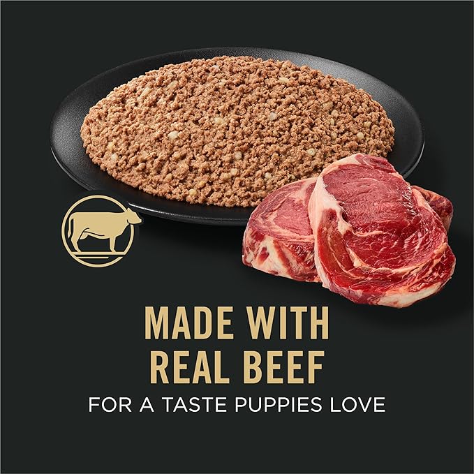 Purina Pro Plan Sport High Protein Puppy Food Beef & Rice Entree Wet Formula - (Pack of 12) 13 oz. Cans