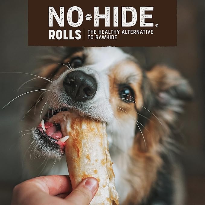 Earth Animal No Hide Small Long Lasting Dog Chew Rolls, Beef - 6 Count