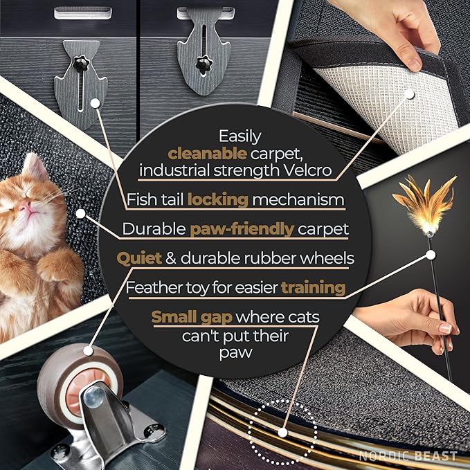 48'' Golden XL Cat Wheel - Cat Wheels for Indoor Cats Which Doesn't Negatively Affect Your Cat's Spine – 15.7'' Extra Wide Cat Treadmill - Fits 2 Cats Side-by-Side, 1-Year Warranty