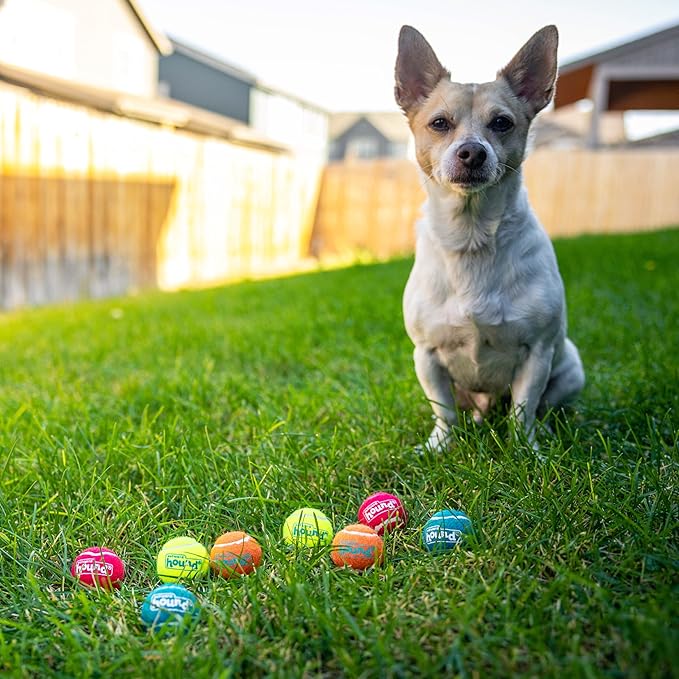 Outward Hound Squeaker Ballz 8-Pack Tennis Ball Dog Toys with Squeaker, Interactive Fetch Play for Pets Under 15 lbs, Training Balls for Indoor & Outdoor Exercise, X-Small, 1.5-inch